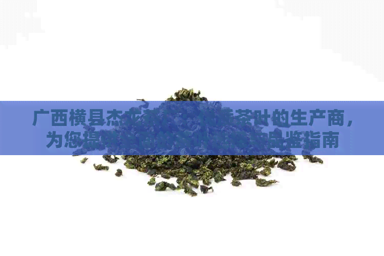 广西横县杰龙茶厂：优质茶叶的生产商，为您提供全面的茶叶选择与品鉴指南