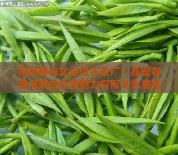 探秘景谷文山顶古茶厂：品鉴老普洱茶的独特魅力与历文化底蕴