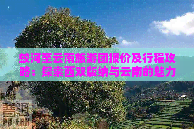 蛟河至云南旅游团报价及行程攻略：探索西双版纳与云南的魅力之旅