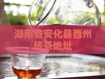 湖南省安化县酉州砖茶地址