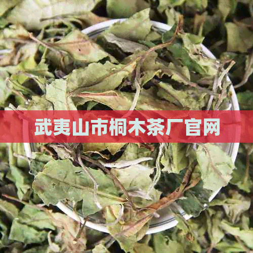 武夷山市桐木茶厂官网