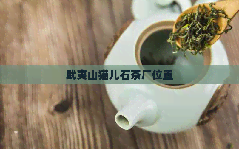 武夷山猫儿石茶厂位置