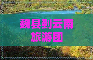 魏县到云南旅游团