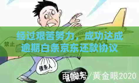 经过艰苦努力，成功达成逾期白条京东还款协议