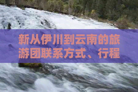 新从伊川到云南的旅游团联系方式、行程规划与旅行建议全面解析