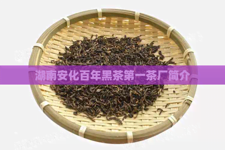 湖南安化百年黑茶之一茶厂简介