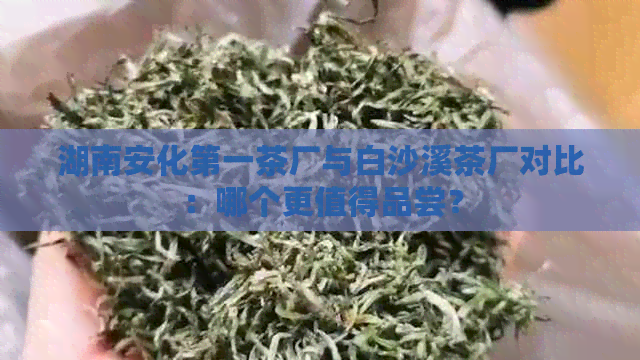 湖南安化之一茶厂与白沙溪茶厂对比：哪个更值得品尝？