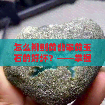 怎么辨别黄翡翠黄玉石的好坏？——掌握关键点，轻松鉴别真伪！