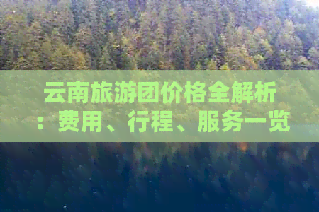 云南旅游团价格全解析：费用、行程、服务一览无余，让您轻松规划完美之旅