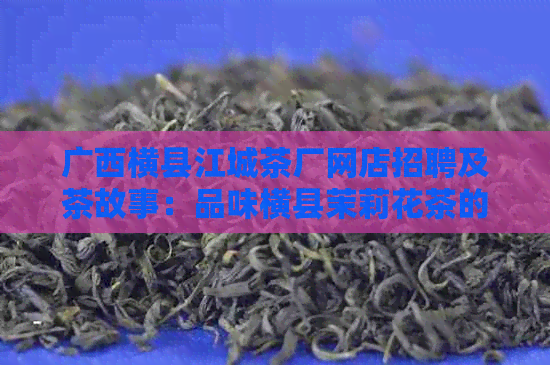 广西横县江城茶厂网店招聘及茶故事：品味横县茉莉花茶的魅力