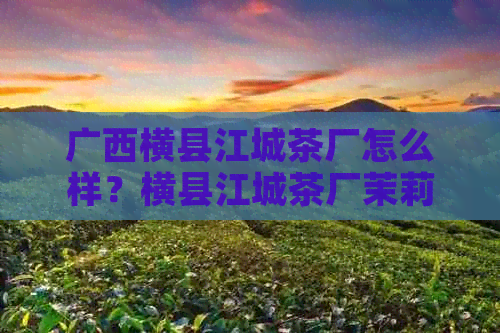 广西横县江城茶厂怎么样？横县江城茶厂茉莉花茶和新城茶厂的故事很精彩！