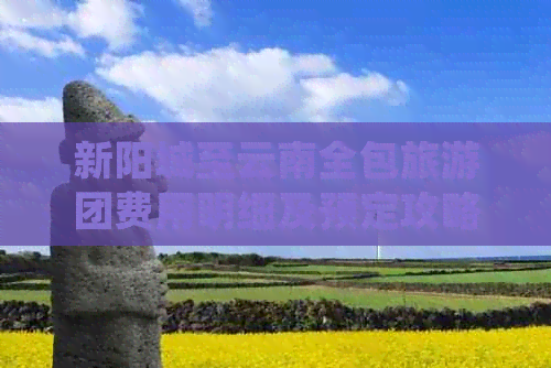 新阳城至云南全包旅游团费用明细及预定攻略，让您轻松规划旅行预算！