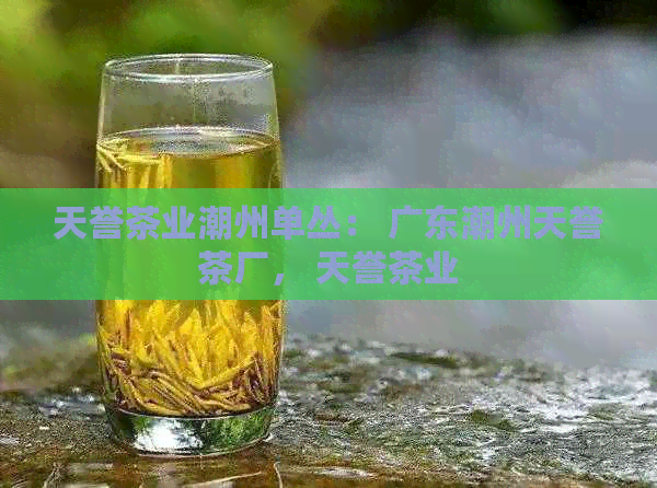 天誉茶业潮州单丛： 广东潮州天誉茶厂， 天誉茶业