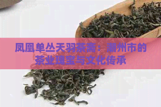 凤凰单丛天羽茶斋：潮州市的茶业瑰宝与文化传承