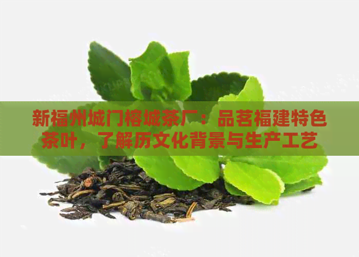 新福州城门榕城茶厂：品茗福建特色茶叶，了解历文化背景与生产工艺