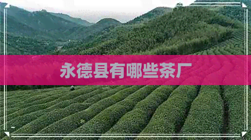 永德县有哪些茶厂