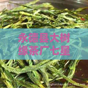 永德县大树缘茶厂七星绿大树茶叶品质、产地、制作工艺及口感全解析