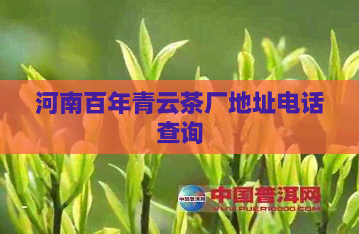 河南百年青云茶厂地址电话查询