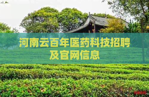 河南云百年医药科技招聘及官网信息