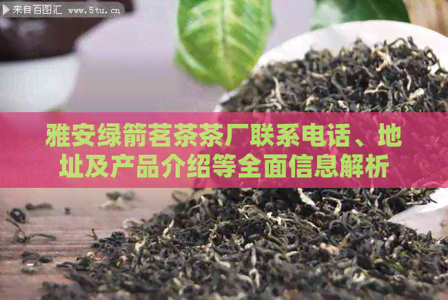 雅安绿箭茗茶茶厂联系电话、地址及产品介绍等全面信息解析