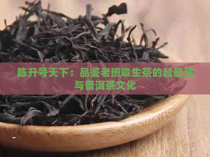 陈升号天下：品鉴老班章生茶的越品质与普洱茶文化