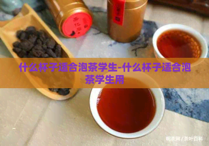 什么杯子适合泡茶学生-什么杯子适合泡茶学生用