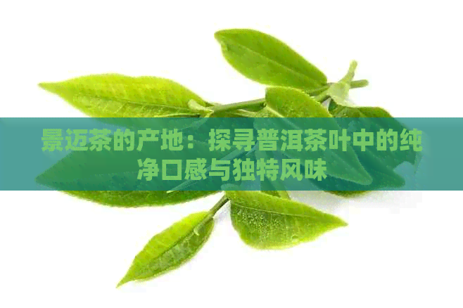 景迈茶的产地：探寻普洱茶叶中的纯净口感与独特风味