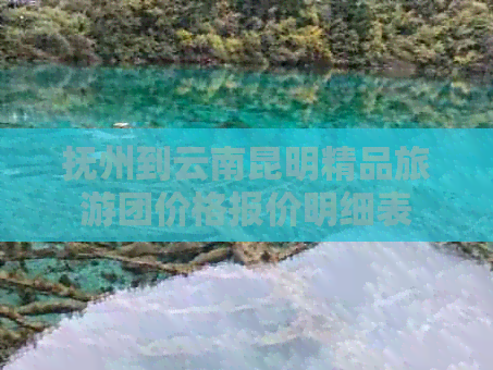 抚州到云南昆明精品旅游团价格报价明细表