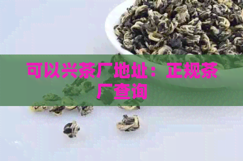 可以兴茶厂地址：正规茶厂查询