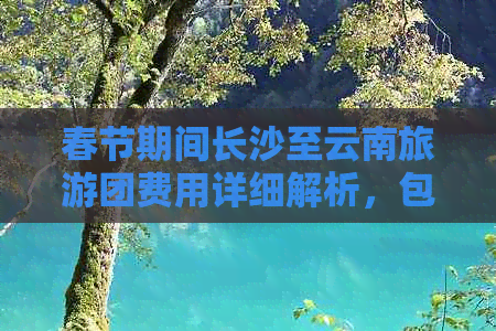 春节期间长沙至云南旅游团费用详细解析，包含住宿、交通、景点等多方面消费