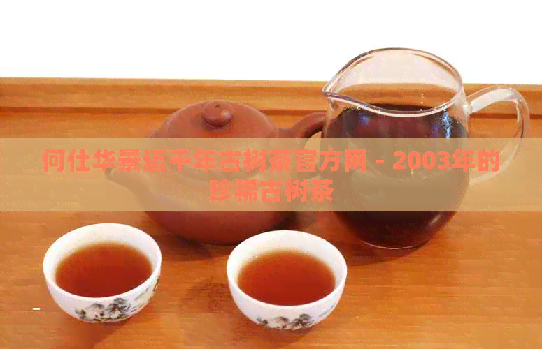 何仕华景迈千年古树茶官方网 - 2003年的珍稀古树茶