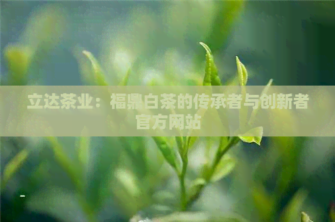 立达茶业：福鼎白茶的传承者与创新者官方网站