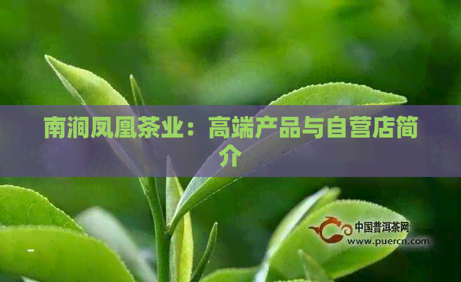 南涧凤凰茶业：高端产品与自营店简介