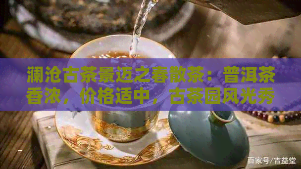 澜沧古茶景迈之春散茶：普洱茶香浓，价格适中，古茶园风光秀美