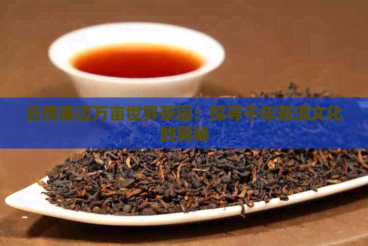 云南景迈万亩世界茶园：探寻千年普洱文化的奥秘