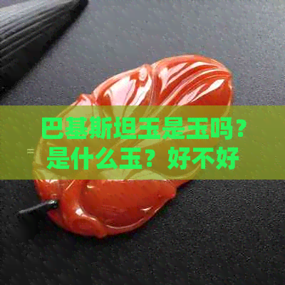 巴基斯坦玉是玉吗？是什么玉？好不好？值钱吗？石值不值钱？