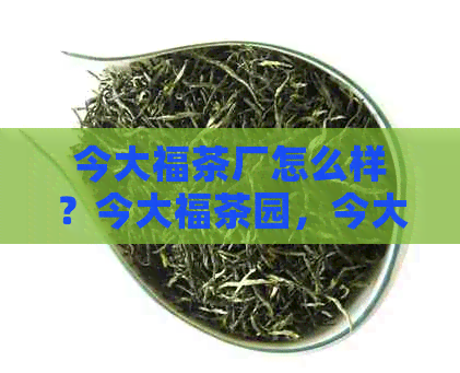 今大福茶厂怎么样？今大福茶园，今大福茶叶品质及厂址解析