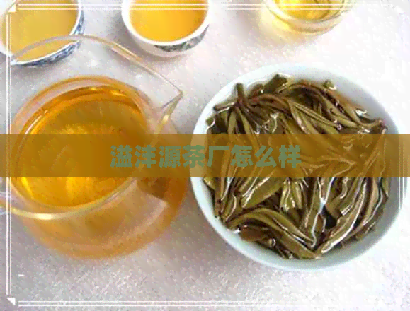 溢沣源茶厂怎么样