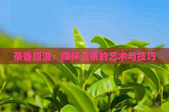 茶香四溢：保杯泡茶的艺术与技巧