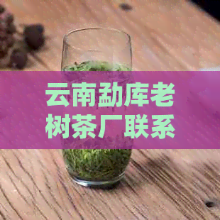 云南勐库老树茶厂联系方式