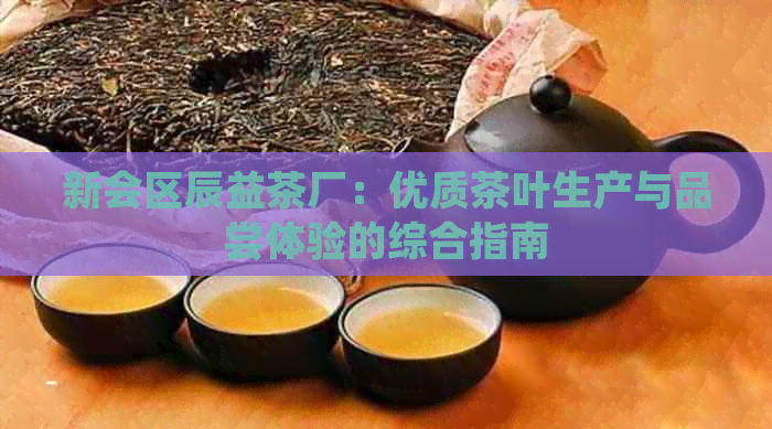 新会区辰益茶厂：优质茶叶生产与品尝体验的综合指南