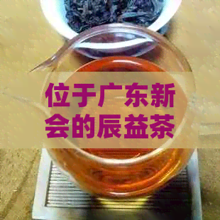 位于广东新会的辰益茶业：探索茶业与陈皮的完美融合