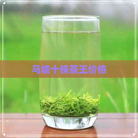 马坡十株茶王价格