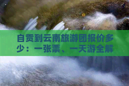 自贡到云南旅游团报价多少：一张票、一天游全解析