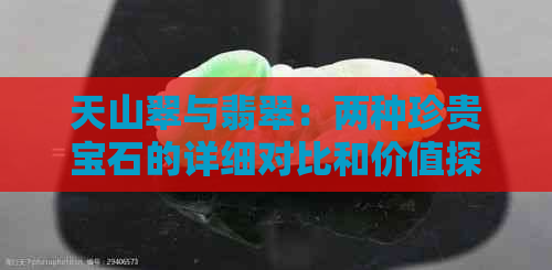 天山翠与翡翠：两种珍贵宝石的详细对比和价值探讨