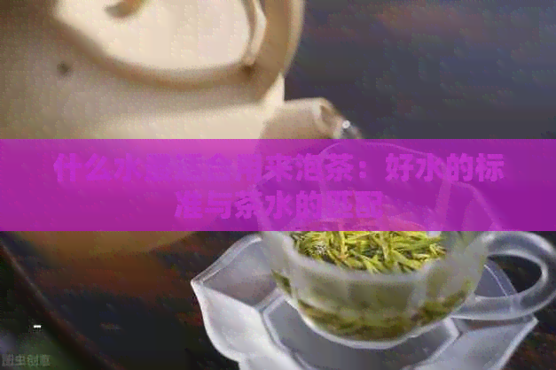 什么水最适合用来泡茶：好水的标准与茶水的匹配