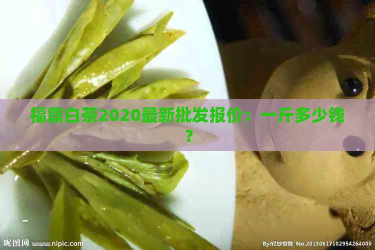 福鼎白茶2020最新批发报价：一斤多少钱？