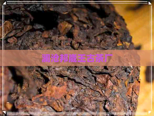 澜沧邦崴王古茶厂