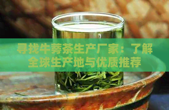 寻找牛蒡茶生产厂家：了解全球生产地与优质推荐