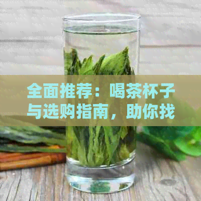 全面推荐：喝茶杯子与选购指南，助你找到完美茶具